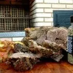 Como Fazer Churrasco do Dianteiro (Pescoço Bovino) - Churrasco Barato