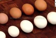 Entrevista Ovos Jovanil - Parte 2